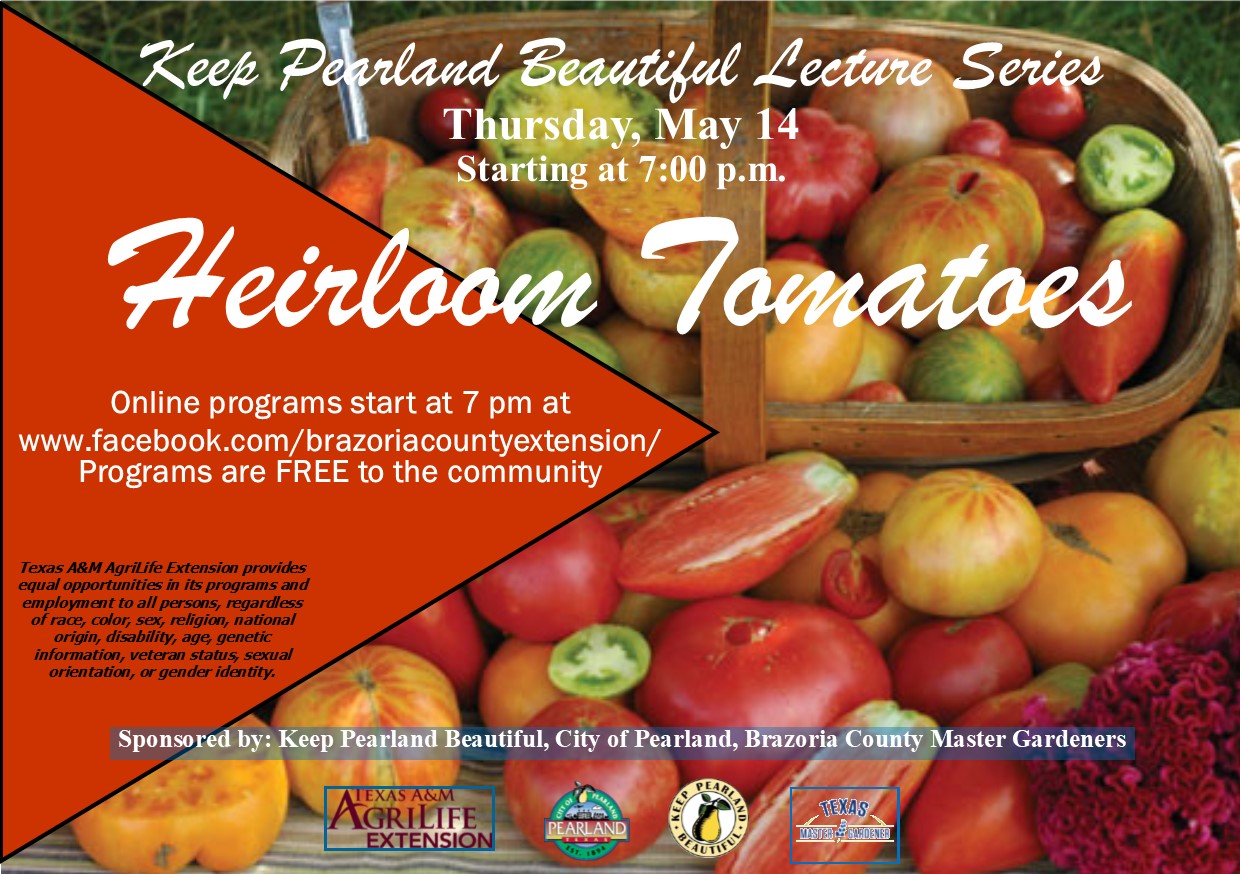 KPB Lecture: Tomatoes