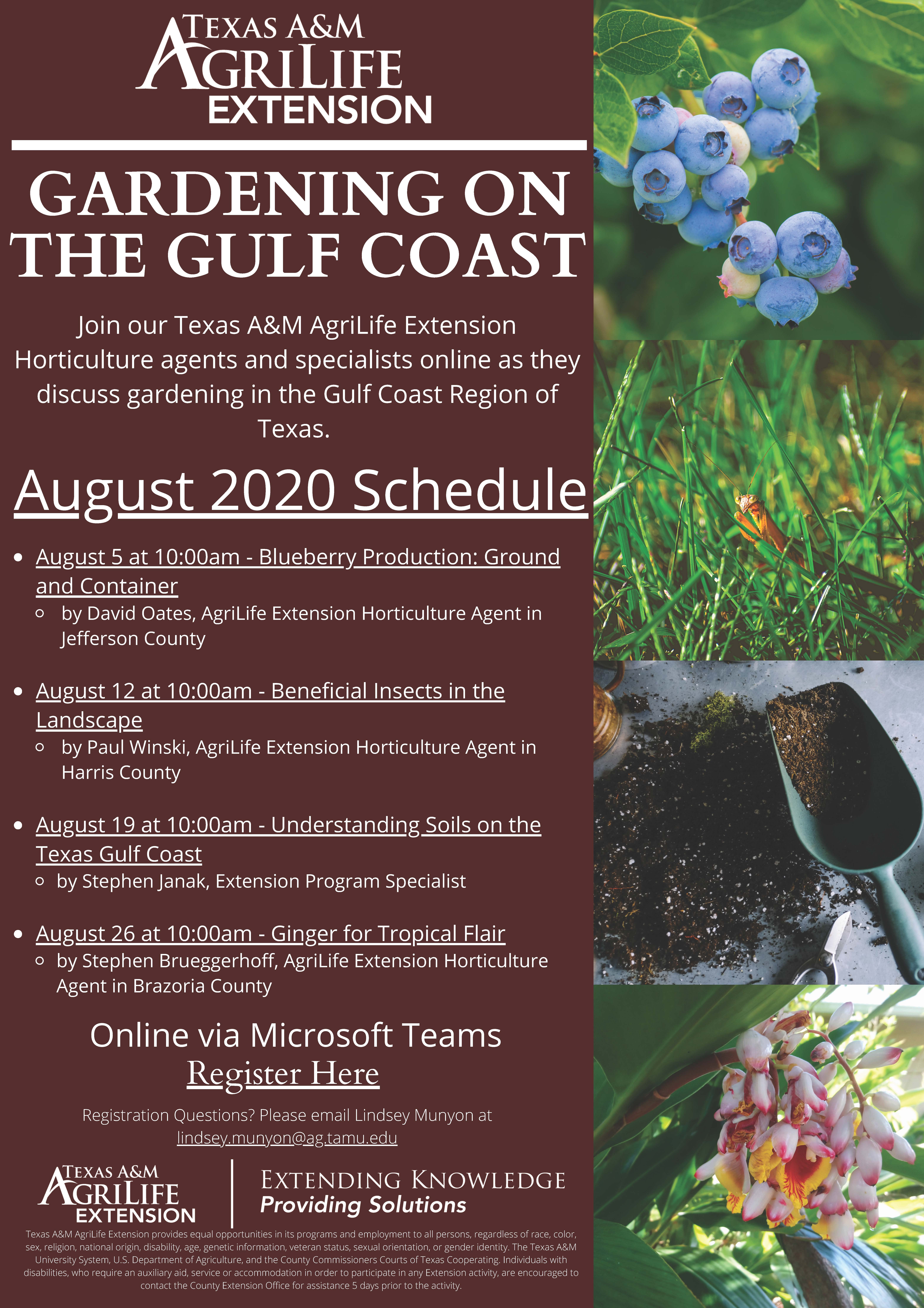 Gulf Coast Gardening: Ginger