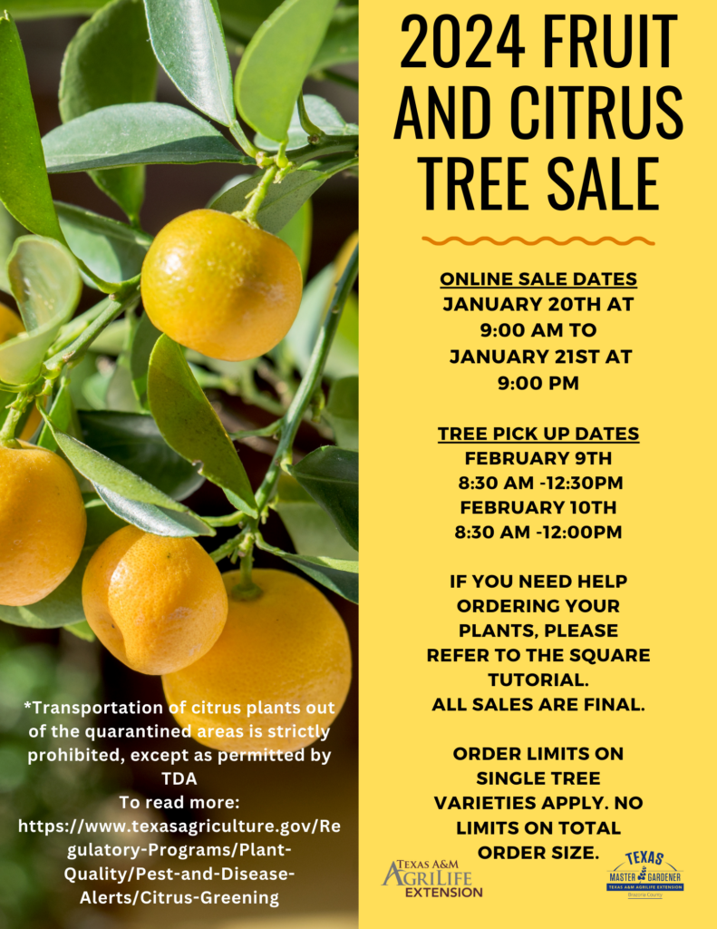 2024 Fruit Citrus Tree Sale Brazoria County Master Gardeners   2024 Fruit And Citrus Tree Sale US Letter 3 791x1024 