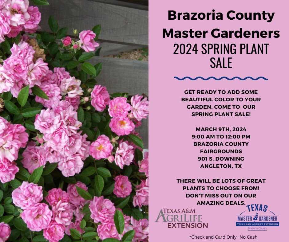 2024 Spring Plant Sale