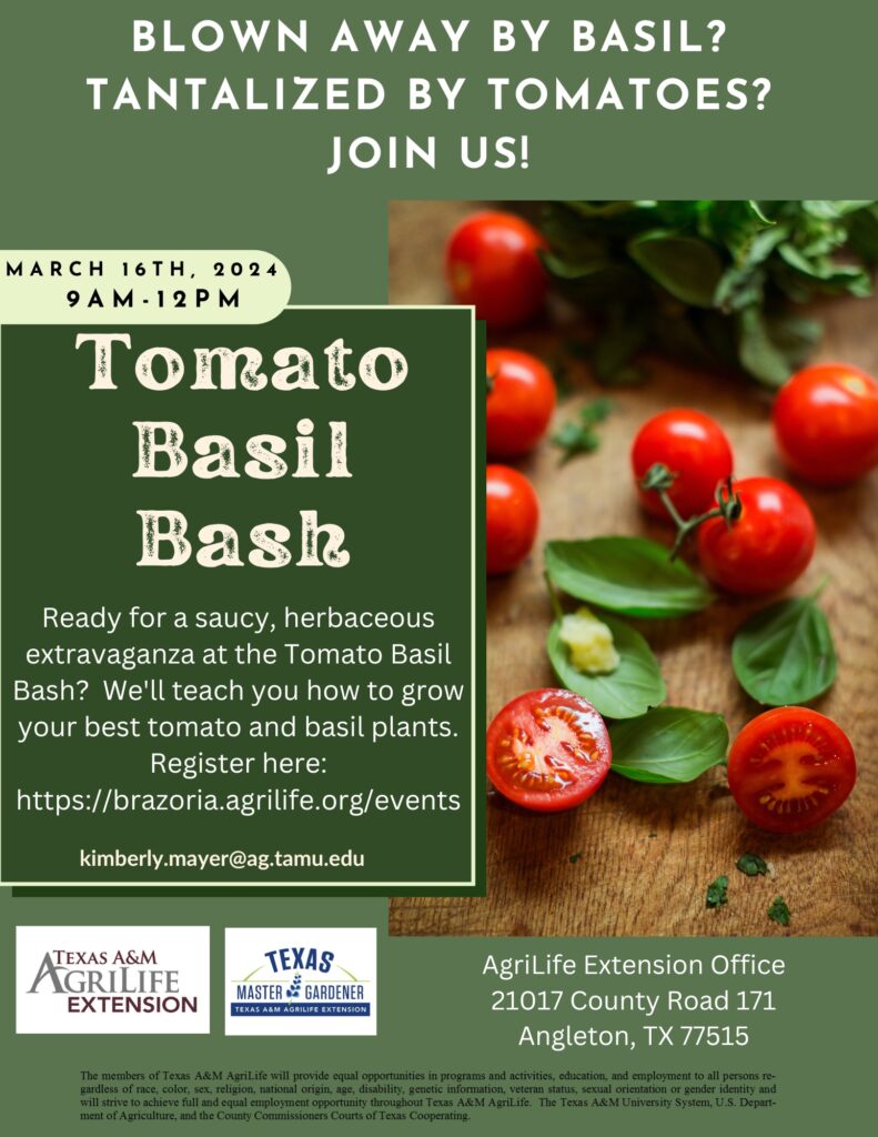 Tomato Basil Bash