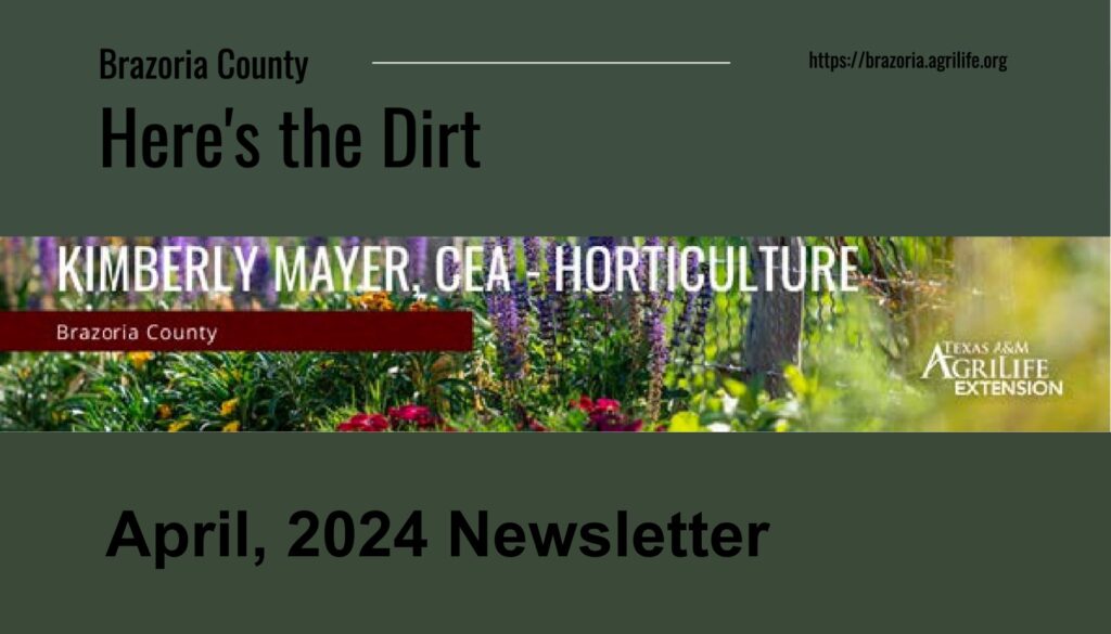 Here’s the Dirt Newsletter