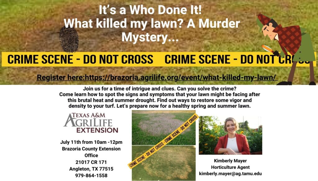 It’s Who Done It! What killed my lawn A Murder Mystery … (7 x 4 in)