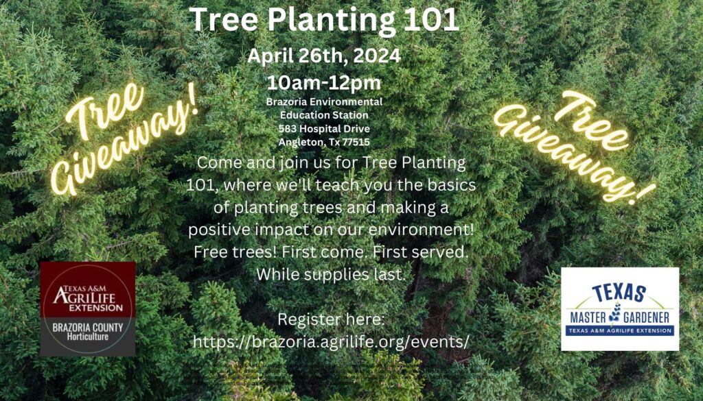 Tree Planting 101 (7 x 4 in)