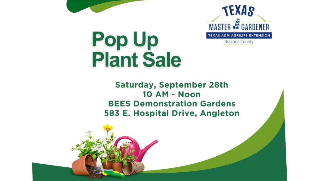 Pop Up Plant Sale 7X4