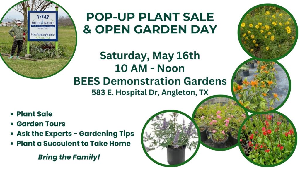 2026 May Open Garden Day (7 x 4 in)
