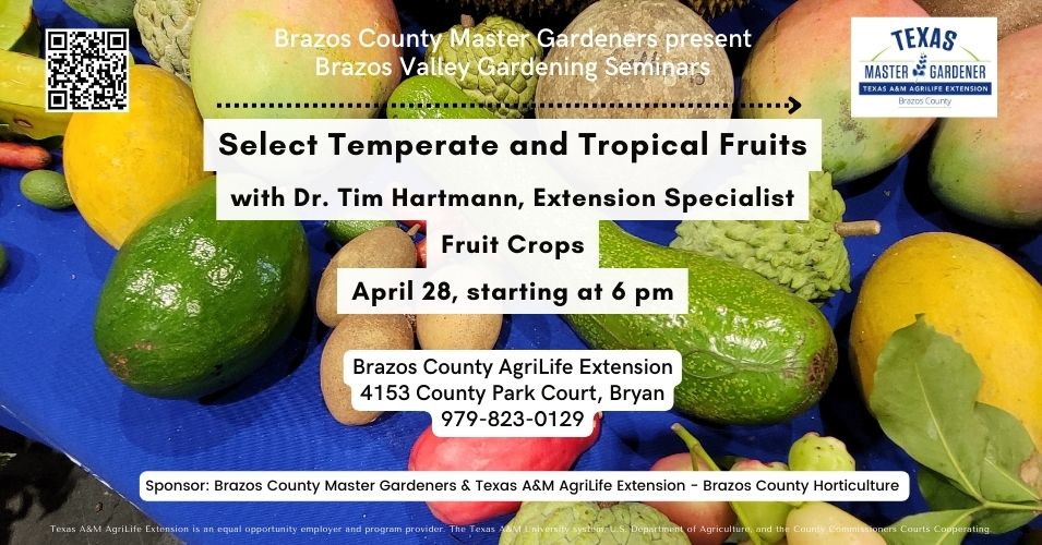Brazos Valley Gardening Series seminar - Select Temperate and Tropical Fruit