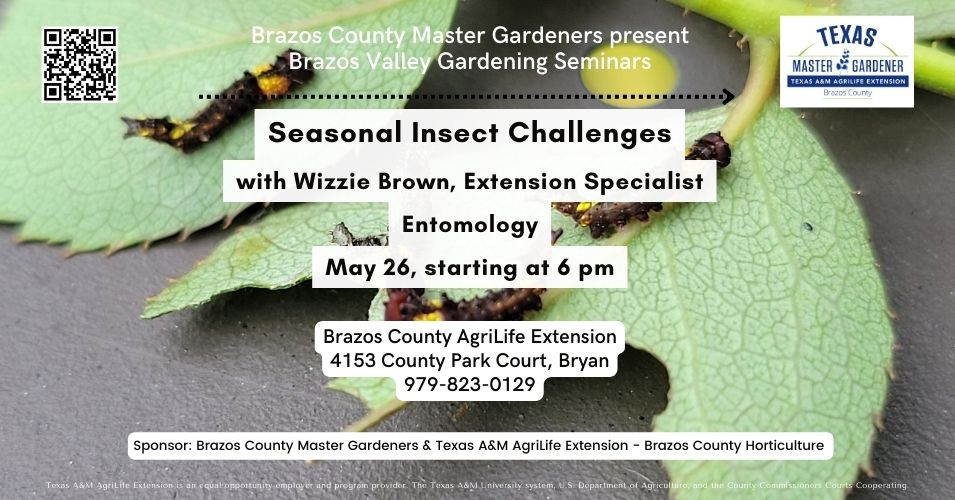Brazos Valley Gardening Series seminar - Seasonal Insect Challenges
