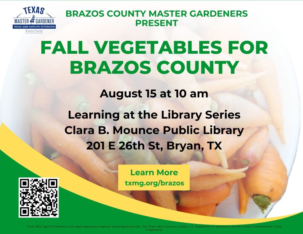 Learning at the Library series - Fall Veggies