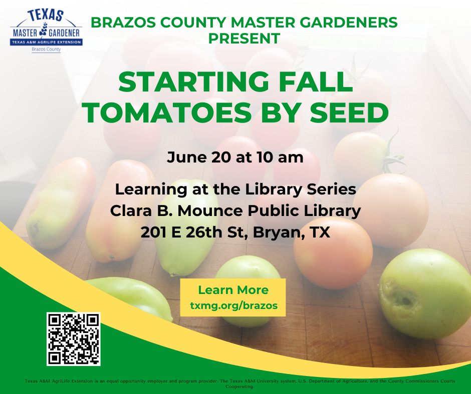 Learning at the Library series - Fall Tomatoes