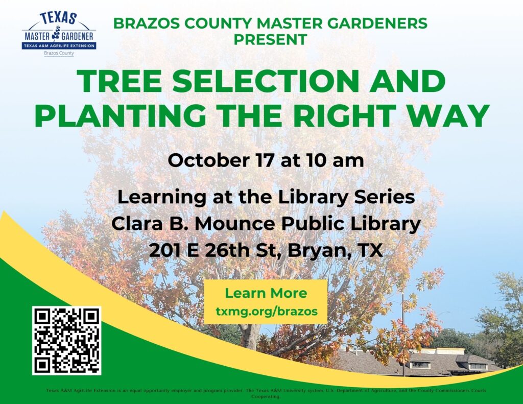 Learning at the Library series - Tree Selection