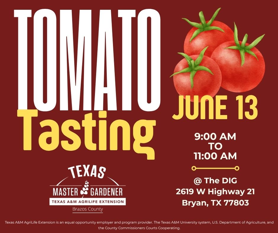 2026 Tomato Tasting Event image