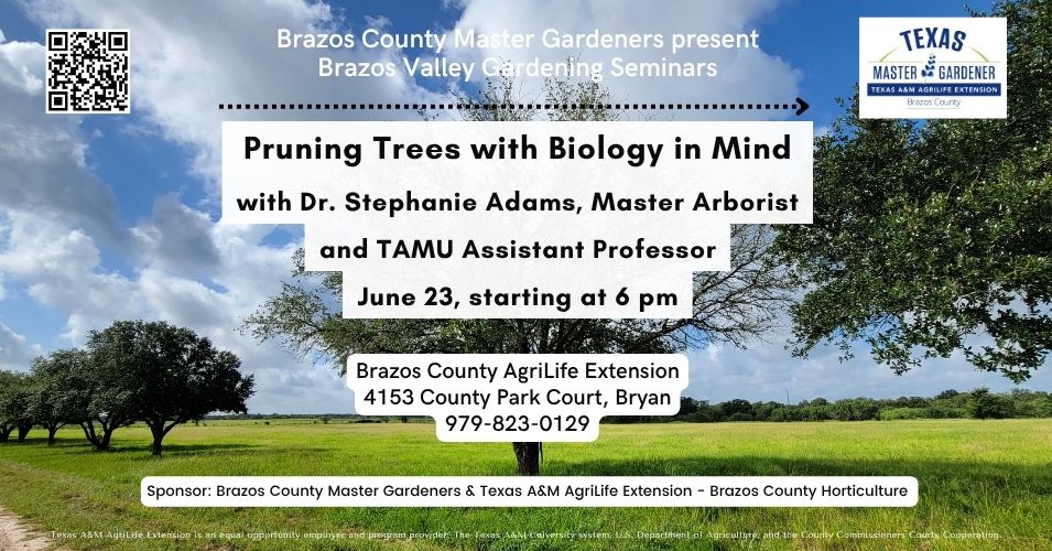 Brazos Valley Gardening Seminar series - Pruning Trees with Biology in Mind