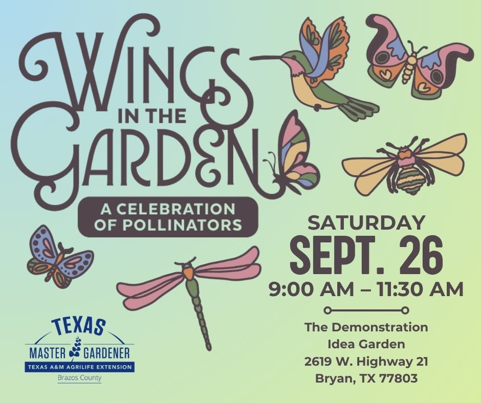 Wings in the Garden event image