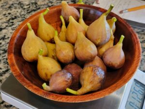 Bowl of Celeste figs