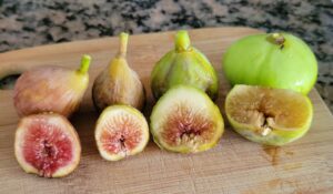 Diversity of fig fruit image