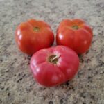 Ripe Tomatoes Image