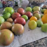 Tomatoes ripening on the counter image