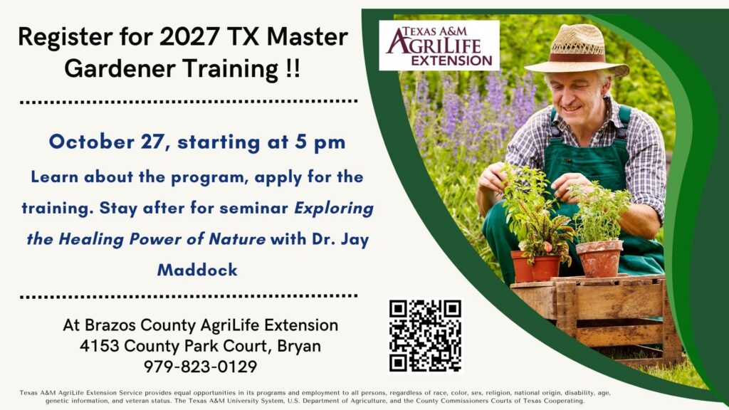 2027 TMG Training image