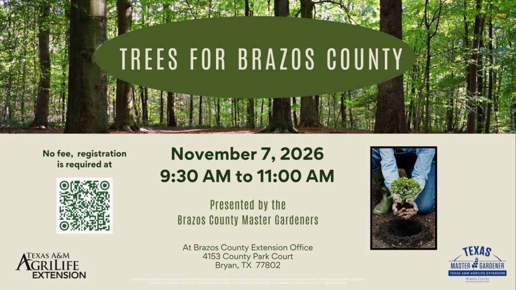 2026 Trees for Brazos County event
