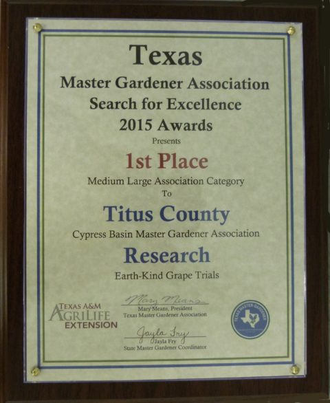 CBMGA's research award
