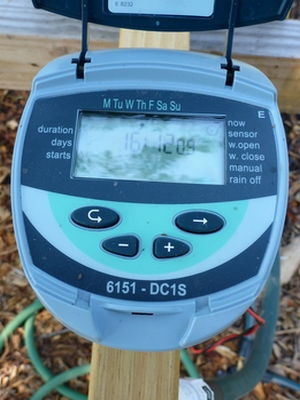 The mister timer is attached to the top of the misting bed framework and runs through a regular garden hose. The timer is set up to mist for 10 seconds every 15 minutes, every day from 10 AM to 6 PM. The continual misting ensures that the fragile cuttings will not dry out before roots are established.