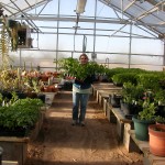 More preparation for the annual plant sale.
