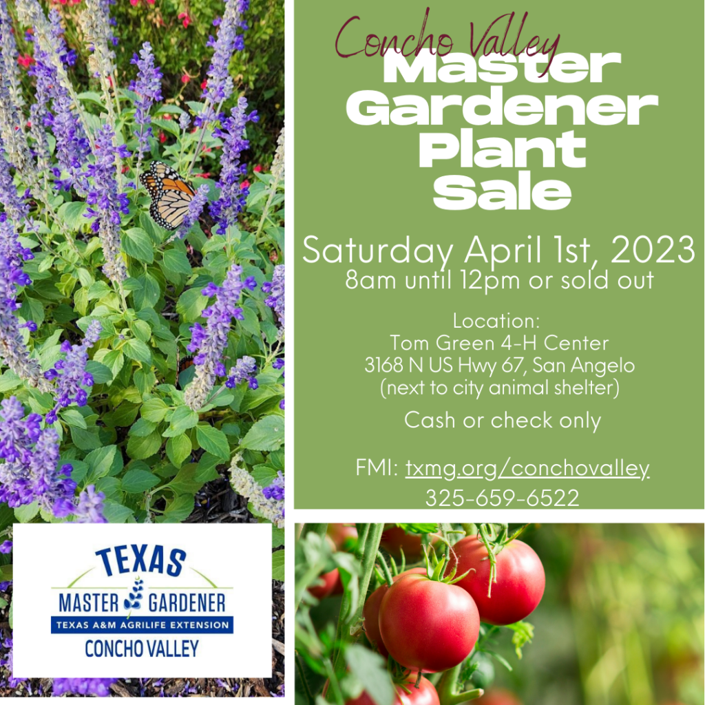 Concho Valley Master Gardeners Texas A&M AgriLife Extension Service