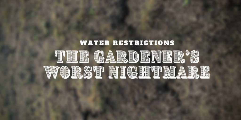 Hero Image text overlay Watering Restrictions The Gardener's Worst Nightmare