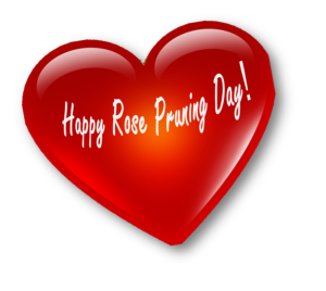 Heart w_Happy Rose Pruning Day