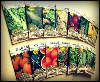 Photo of seed packs