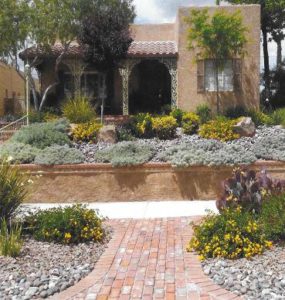 Credit: A Lovely Grassless El Paso Front Yard by Helen Abresch, El Paso Master Gardener