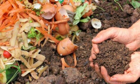 Hands holding compost with vegetables & eggshells off to the side.