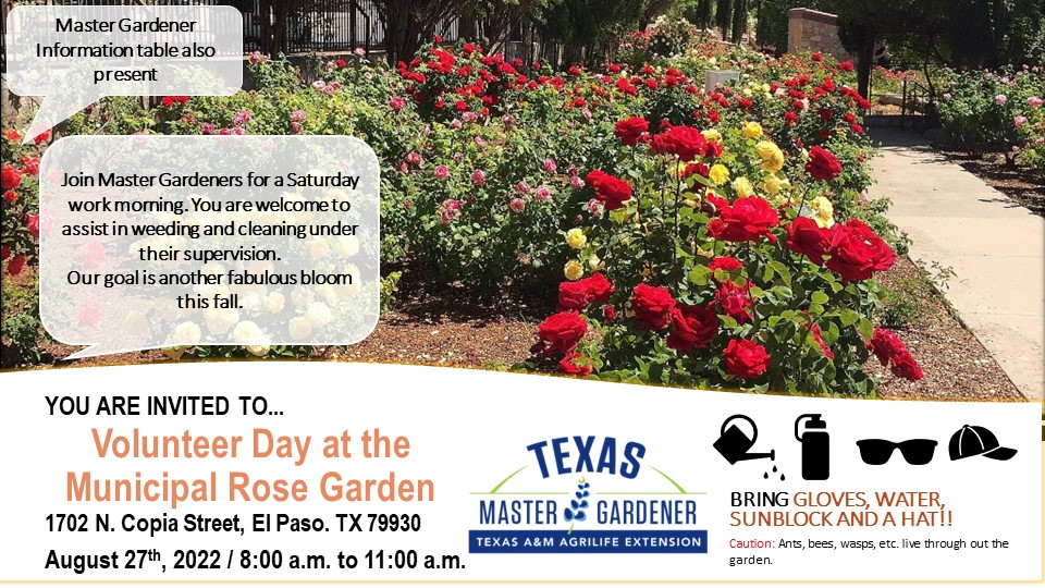 Flyer for Community Volunteer Day at the Municipal Rose Garden