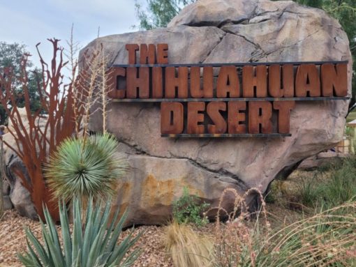 Chihuahuan Desert Exhibit Entrance sign at El Paso Zoo e