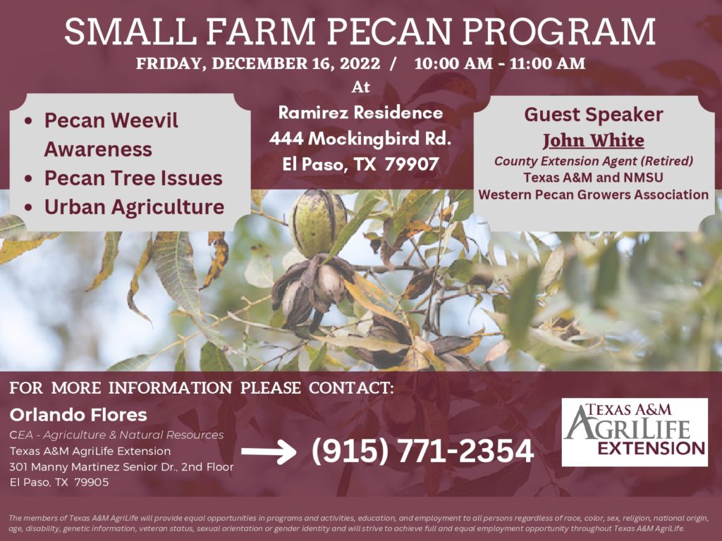 Flyer for Small Farm Pecan Program Talk. Event 12/16/22 at 10 a.m.