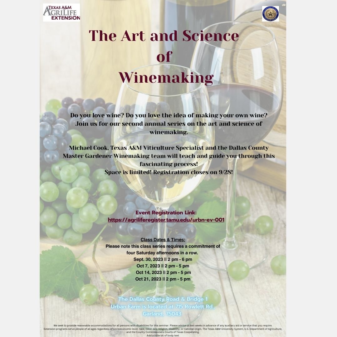 winemaking flyer