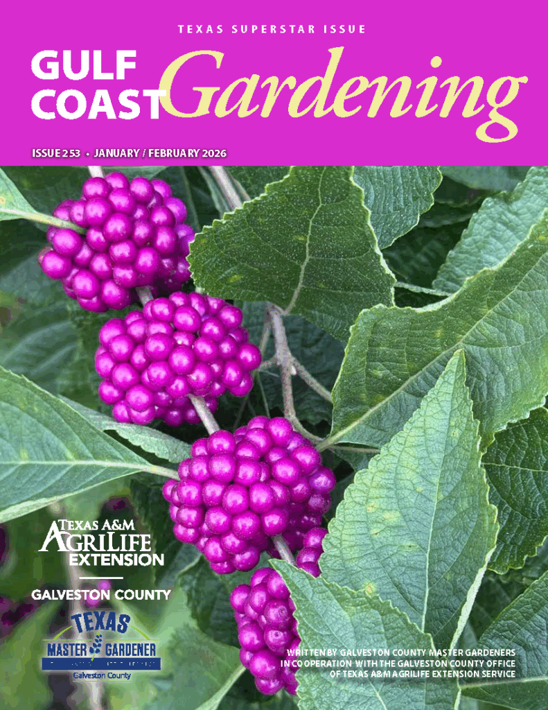 Cover – GCMG Gulf Coast Gardening – Jan-Feb 2026