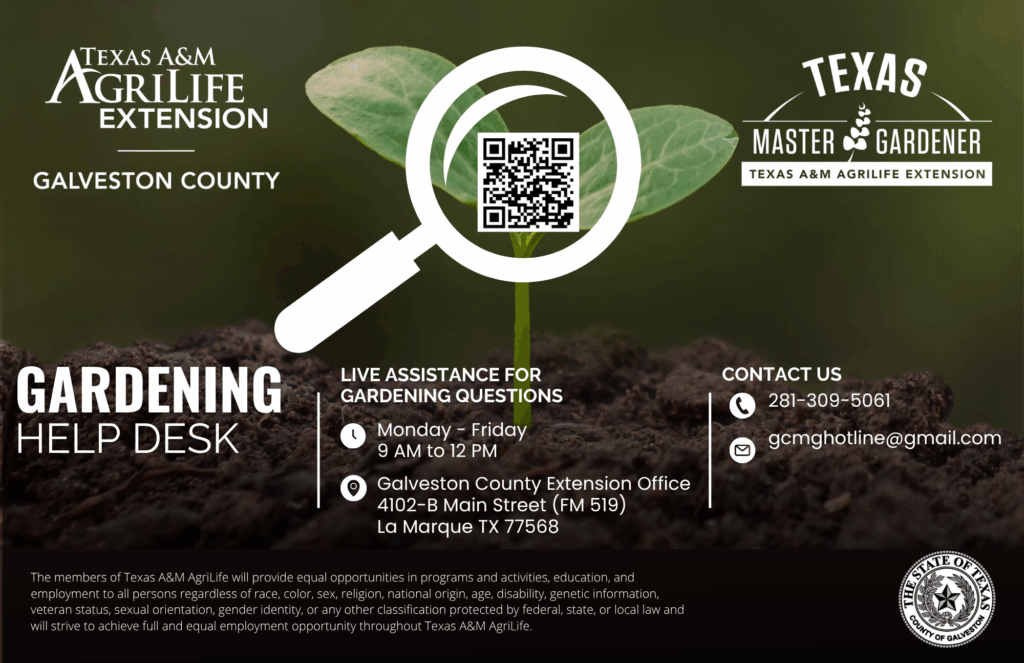 Infographic-MG Gardening Help Desk