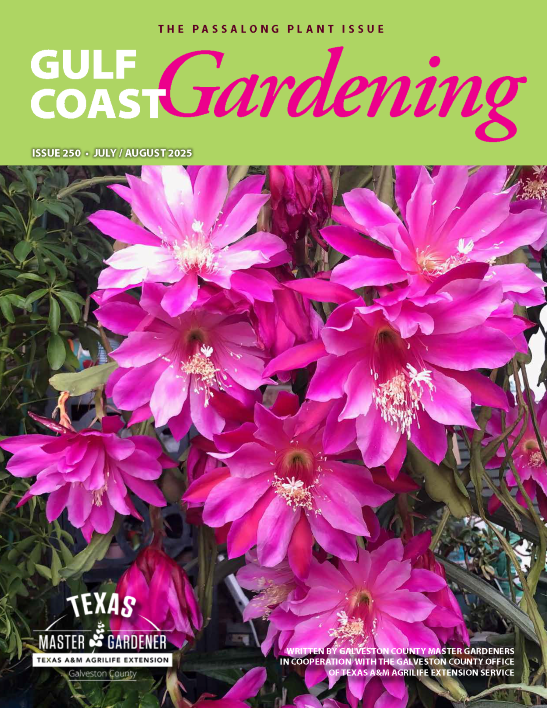 JulyAug MG Newsletter 2025_cover_small for website