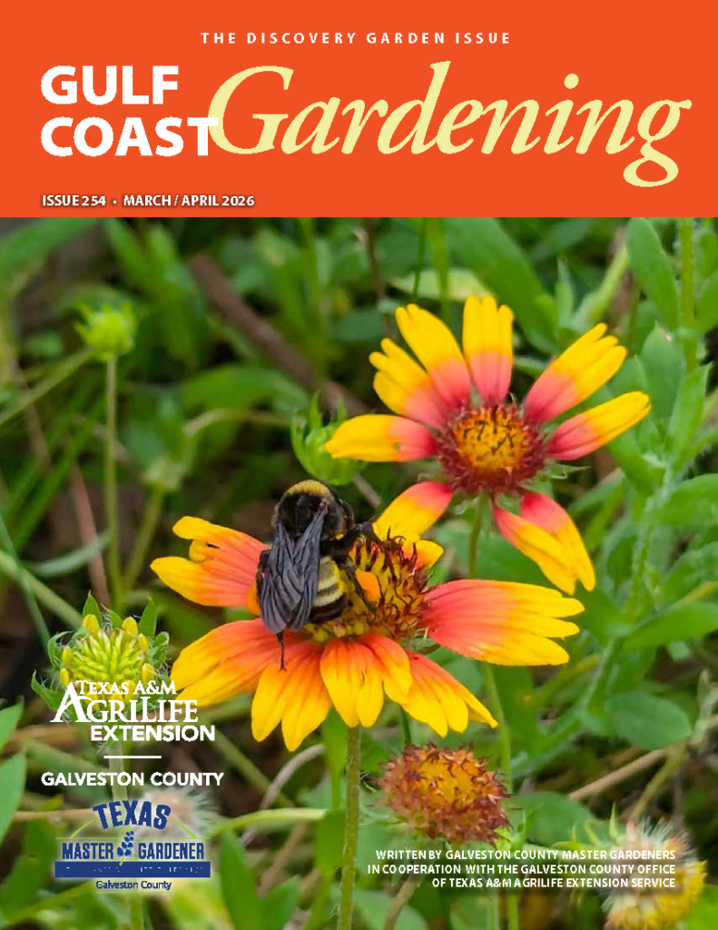 Magazine Cover – GCMG Gulf Coast Gardening – Mar-Apr 2026