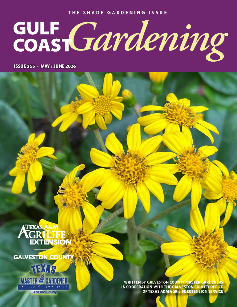 Magazine Cover – GCMG Gulf Coast Gardening – May-Jun 2026