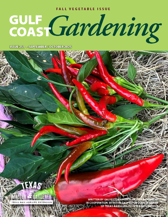 Sept Oct MG Newsletter 2025_cover_small for website homepage