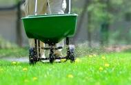 man pushing fertilizer spreader across lawn
