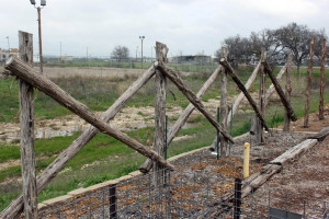 cedar fencing