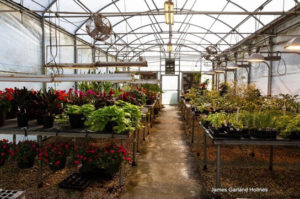 Genoa Friendship Garden Greenhouse