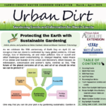 March/April 2025 Urban Dirt Newsletter