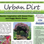 May/June 2025 Urban Dirt Newsletter