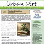 July/August 2025 Urban Dirt Newsletter