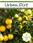 January/February 2026 Urban Dirt Newsletter